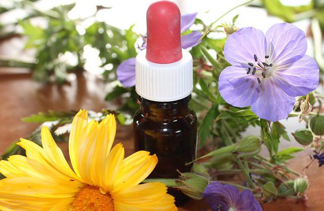 e832b20729f2003ecd0b470de7444e90fe76e6dd1eb6154390f8c3 640 homeopathy e1487745130192